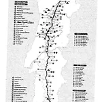 Cynda's 维塞乌
