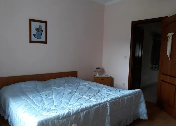 Cynda's Viseu